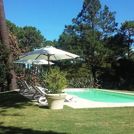 Josephine Boutique Hotel Punta del Este Eksteriør billede